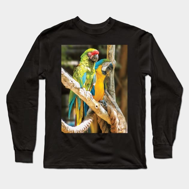 Parrots Perching Long Sleeve T-Shirt by DPattonPD